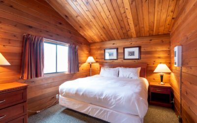 Cabin Black Friday Getaways