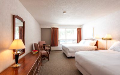 Lodge Room Black Friday Escape